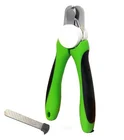 Dog Cat Bird Rabbit Pet Nail Clippers File Set Pet Scissors Nail Toe Trimmer Pet Nail Clipper Grooming Tool