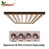 Ecospeed New Product Ideas 2019 Quantum Board LM301b lm301h Grow Light Full Spectrum LED Grow Light For Hydroponic Grow Tent