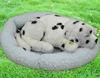 /product-detail/best-for-valentine-day-gift-stuffed-plush-animals-breathing-sitting-dog-toy-60313590833.html