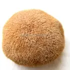 Water Soluble 30% beta glucans organic lion's mane extract powder