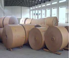 Wood Pulp Paper Wrapping Hot Sale Brown Kraft Paper For Wrapping Food