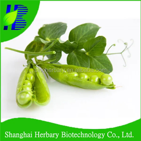 organic vegetable snow pea seeds for growing