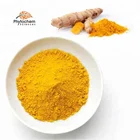 pharmaceutical grade bulk price curcuma longa tumeric extract powder capsules 95% organic Turmeric curcumin