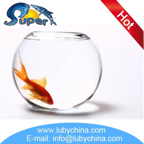 Fashionable round fish tank with CE certificate