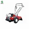 /product-detail/agricultural-gasoline-power-tiller-manual-cultivator-rotary-tiller-62211862191.html
