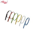 TENPRO TSRE Stainless Steel Banding Tie SUS304/316 high quality Banding Tie ball lock epoxy coated Perforated Strap Band