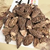 /product-detail/magic-mushrooms-with-good-quality-60474024088.html