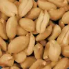 /product-detail/high-oleic-dry-roasted-peanuts-105187753.html
