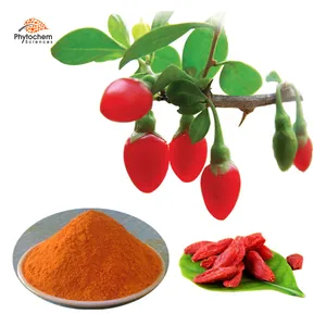 goji berry wolf berries polysaccharide powder chinese wolfberry