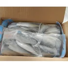 Frozen Seafood Whole Block Frozen Seafood Pacific Mackerel Fillet Flap