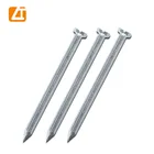 China factory zinc coated/galvanized concrete steel nail sizes for construction