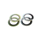 Asme B 16.20 Flexible Graphite Spiral Wound Gasket