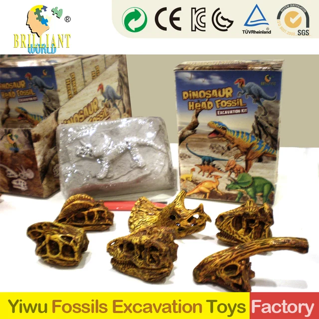 dinosaur excavation kit