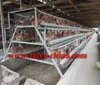 Guangzhou chicken farming equipment