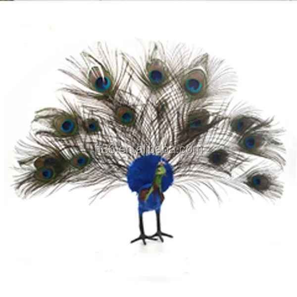 Peacock Stuffed Animal