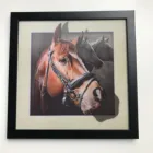 5D Animal picture horse lenticular picture posters customized