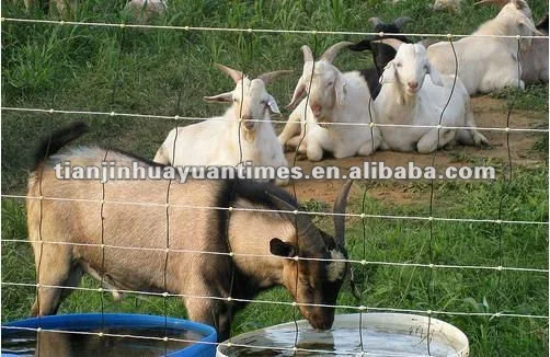 ( 29 years FACTORY) OVAL SHAPED GALVANIZED WIRE FOR FENCE IN SOUTH AMERICA