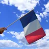 /product-detail/custom-high-quality-france-hand-flag-banner-with-white-plastic-pole-60802395466.html
