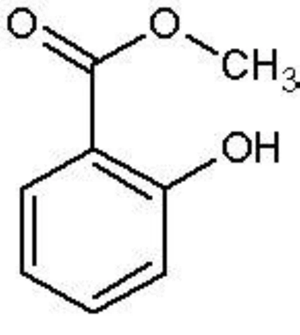 High quality Methyl Salicylate & Winter Green oil (CAS:119-36-8)