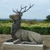 /product-detail/classical-design-metal-statue-outdoor-decoration-life-size-bronze-deer-sculpture-60642707249.html