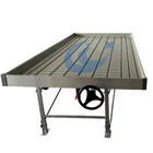 cheap price multi-span film greenhouse ebb flow rolling bench and table for sale