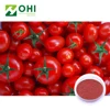 Tomato Extract Supplement Lycopene 6 Powder