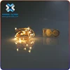Hot sales christmas CR2032/CR2025 Battery Powered Rice Lights Copper wire string light 20 Steady LED Fairy Moon Lights