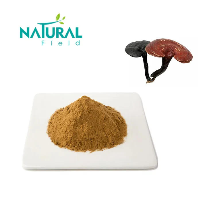 ganoderma lucidum extract.jpg