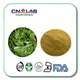 pure capsella bursa  extract powder/ shepherd 's- purse