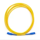 Supply Simplex Lc Sc Fc St Patch Cord G652d 9 125 Sm Optical Fiber 3m