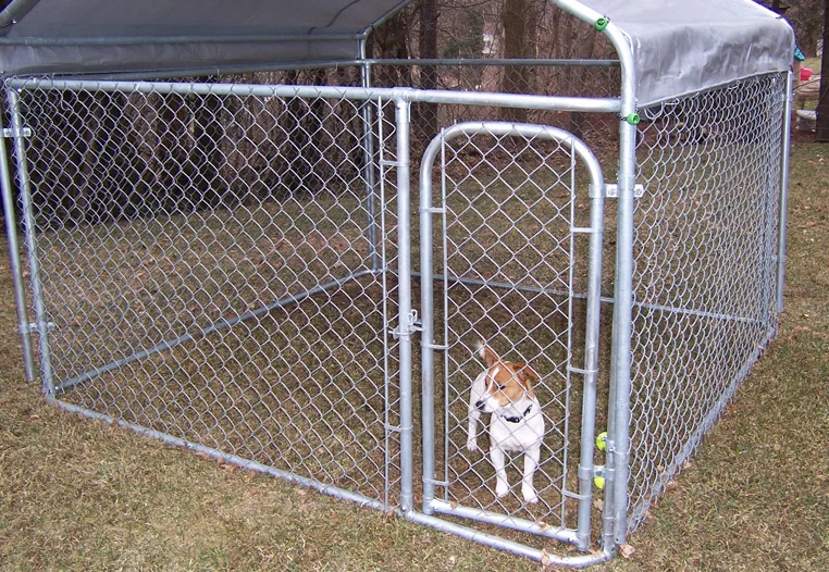 Outside Dog Kennels Large Outdoor Indoor Cage 10x10x6 Pets Animals