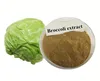 Top Quality Natural Brassica oleracea extract powder