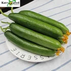 Quality High Yield Hybrid F1 Green Cucumber Seeds from China