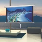 manual projector screen pull up projection screen