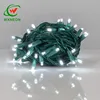 70 Count 4'' Spacing Injection 5mm Outdoor Waterproof Led String Lights
