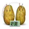 Funny Educational DIY Novel Green Science Project Experiment Kit Lab Home School Toy Potato Clock for Children kids 239