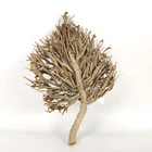 Eco-friendly wall decor natural color handmade leaf-shaped wood crafts wood decoration for Christmas decoration