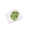 Best price for Mixed Green Chive Rings dehydrated chive roll