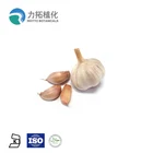 Odorless Garlic 100% pure natural black garlic oil price in bulk