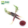 /product-detail/black-carrot-extract-powder-carrot-juice-extract-anthocyanin-organic-extract-60499074515.html