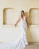 Boho Style Elegant Lace Bridal Dresses V-neck Beach Wedding Prom Gowns with Tail