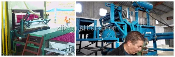 egg tray forming machine (5).jpg