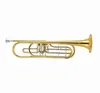 Professional Bb Key Gold Lacquer Bass Trumpet Of Price XTR018