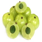 Amla Powder Powder HONGDA Factory Supply Amla Extract Powder Amla Extract Amla Gooseberry
