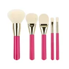 5 pcs pink synthetic makeup kit travel makeup brush set