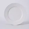 Wholesale discount price restaurant dinnerware plain white ceramic steak plates