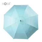 Double Layer Windproof Custom Printing Auto Open Rubber Coated Handle Umbrella
