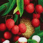 Picture Diy Digital Oil Painting - Yiwu Factory Fruit Picture Oil Painting-G246