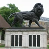 /product-detail/natural-black-marble-large-lion-statue-of-outdoor-garden-sculpture-60709159513.html
