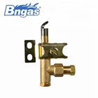 Barbecue flame igniter gas pilot burner